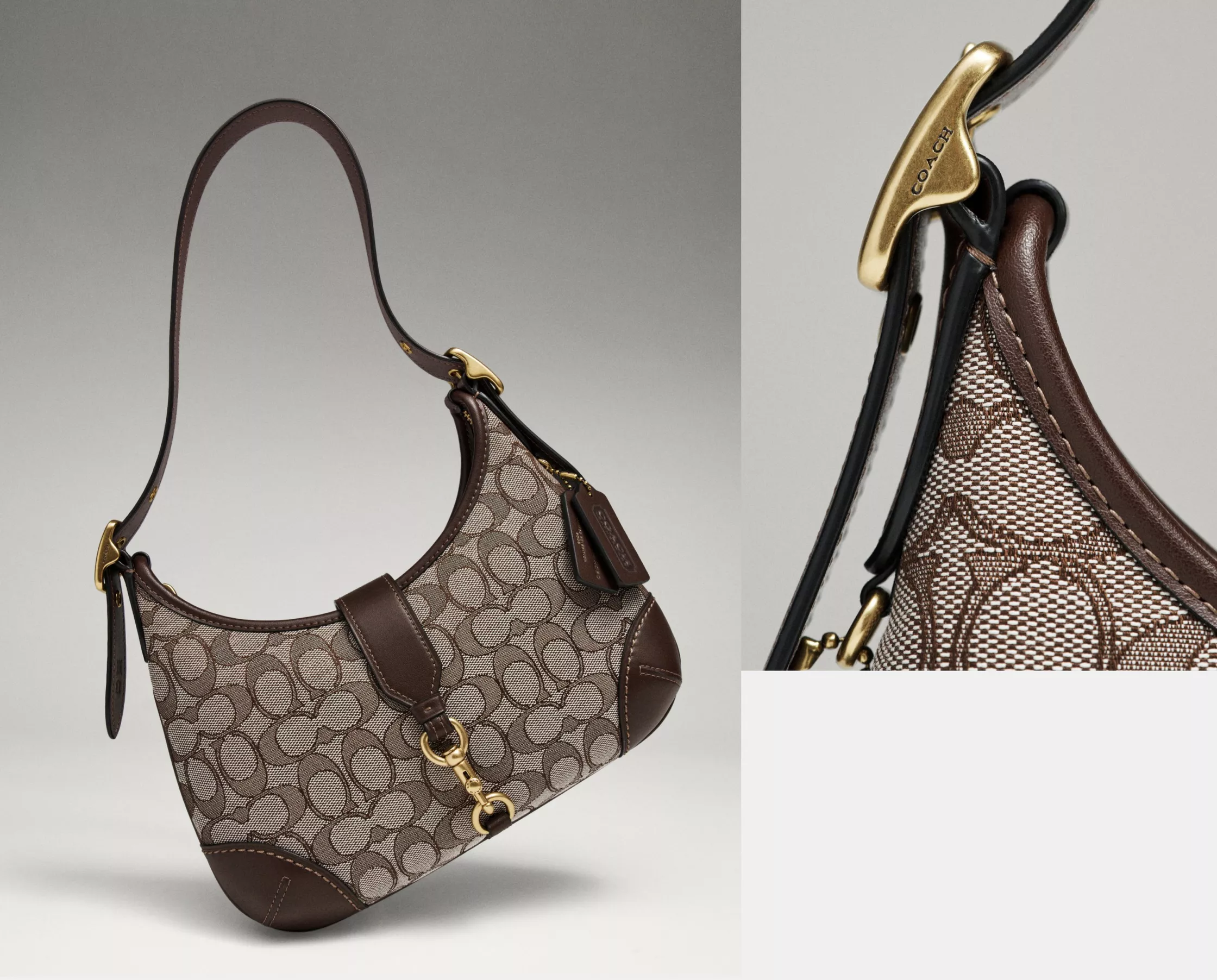 Borsa Coach Premium11