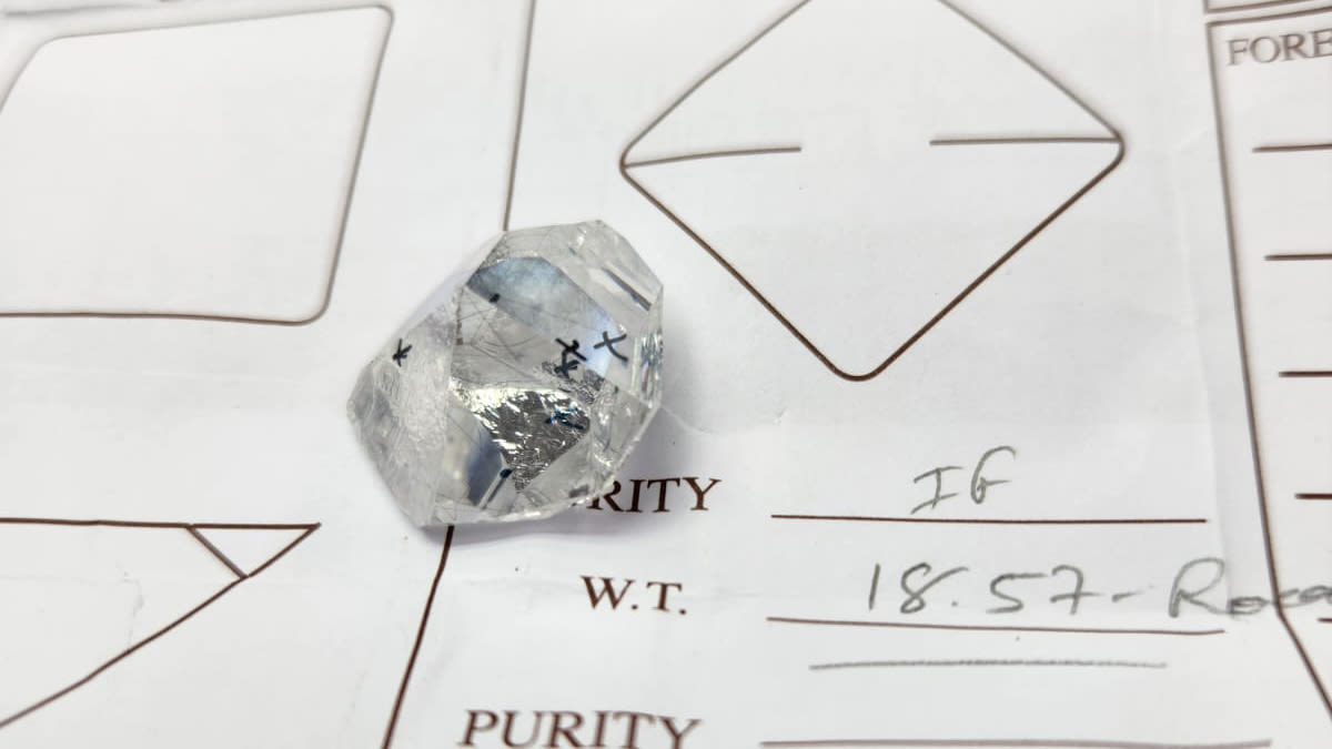 Img 20240718 Wa0016 Ritagliato