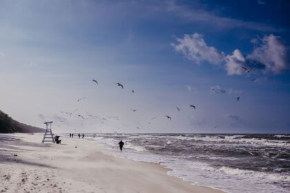 Passeggiate invernali al mare Linea Mare