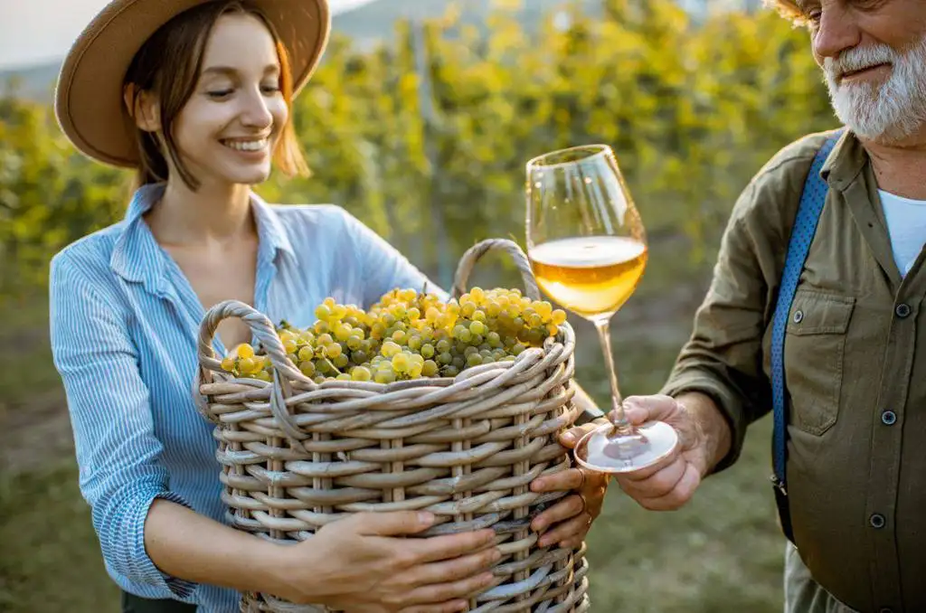 Digitalizzazione del Mercato del Vino in Polonia Tecnologie Sfide e Futuro