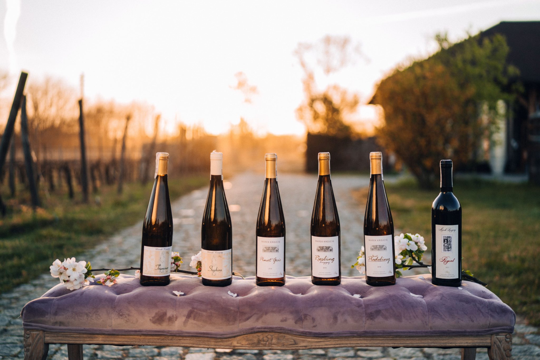 Vigneti a Zielona G&oacute;ra