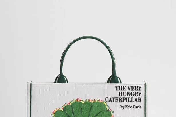 Dior Book Tote Quando il Libro Diventa Moda