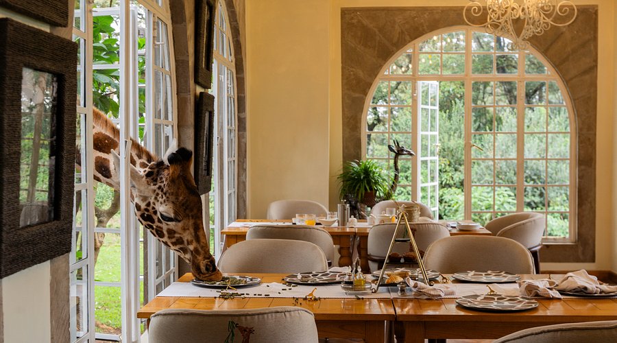 Top 5 Hotel pi&ugrave; strani del mondo7