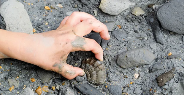 Come Investire in Fossili