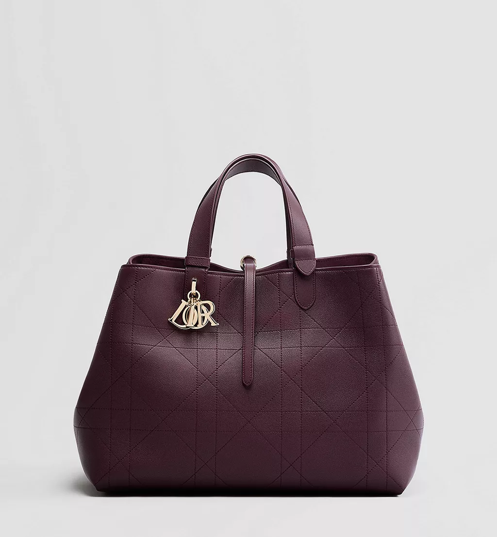 Borsa bordeaux Dior1